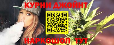 шишки Обь