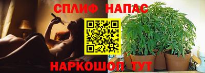 МДПВ Обнинск