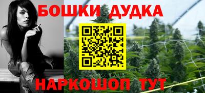 шишки Обь