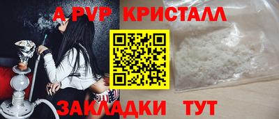 шишки Обь